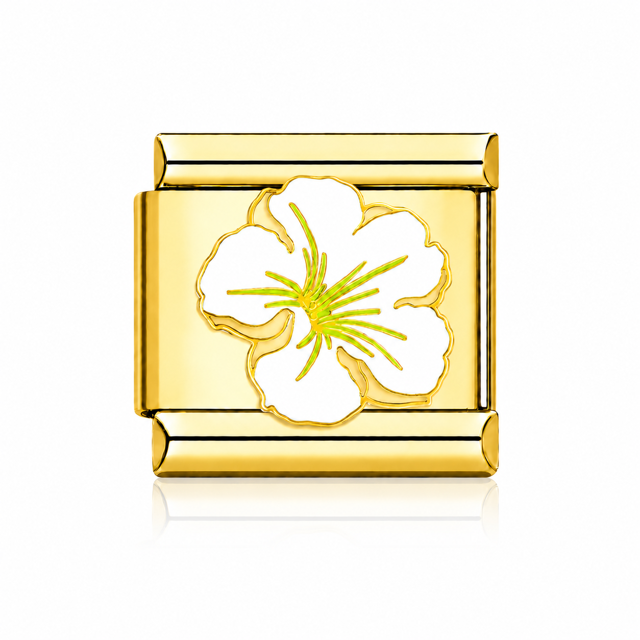 Fleur hibiscus blanc