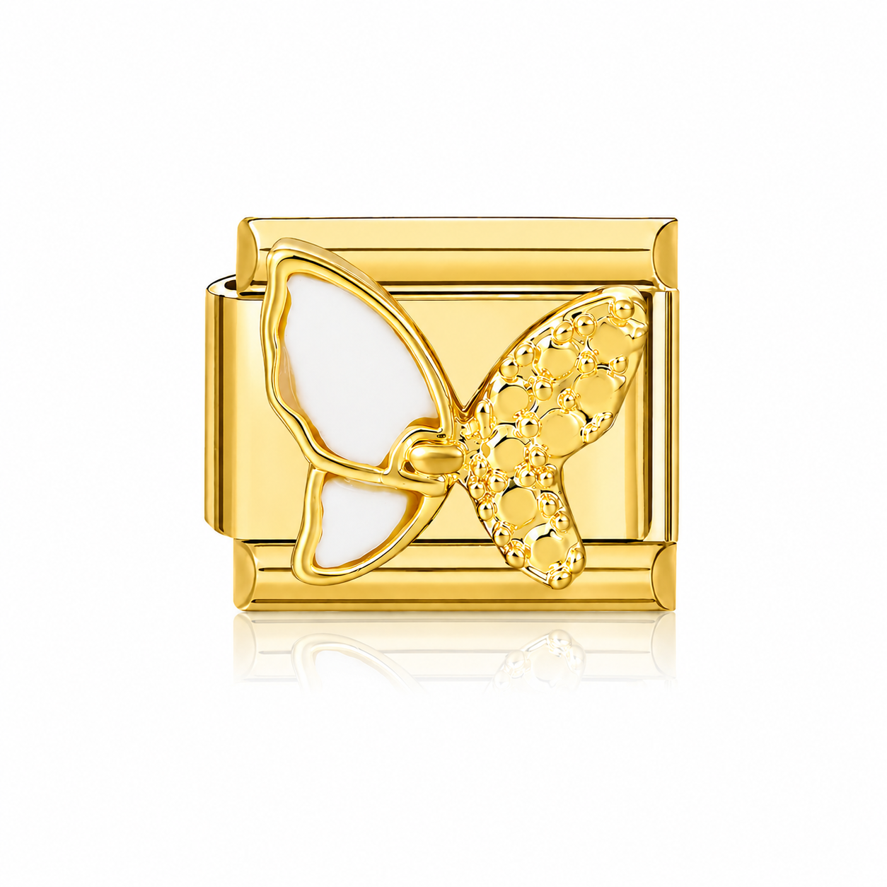 Papillon blanc et éclat